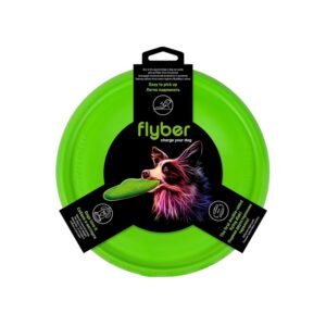 Flyer Dog Toy