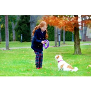 PULLER MINI Dog Fitness Tool